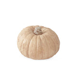 3 Inch Copper Resin Filler Pumpkin