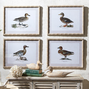 Duck Wall Art
