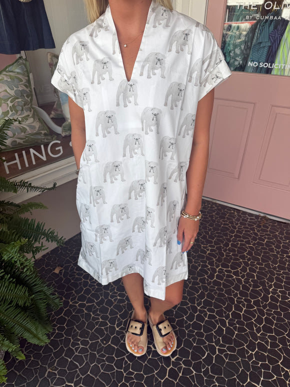 Bulldog Nancy Dress