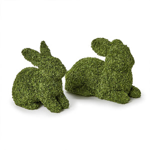 Preserved Natural Buckwheat Husk Bunnies