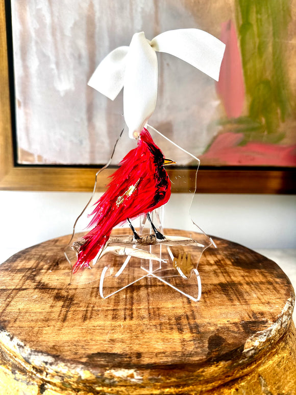 2024 Christmas- Cardinal 