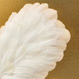 Butterfly in Feathers Shadow Box Wall Art