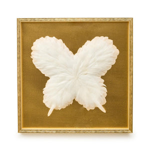 Butterfly in Feathers Shadow Box Wall Art
