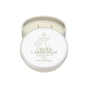 Linnea Seasonal Petite 2-wick Candle