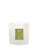 9oz Antica Farmacista Candle