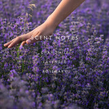 Linnea Reed Diffuser Kit