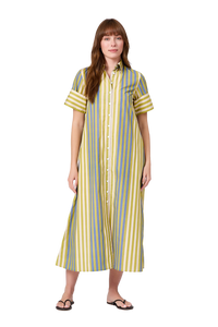 Chartreuse Stripes Gibbons Dress