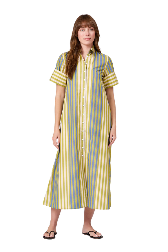 Chartreuse Stripes Gibbons Dress