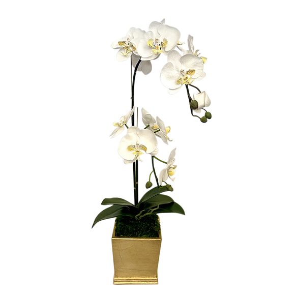 Resin Mini Square Container Gold Leaf - Artificial Double Orchid White & Yellow
