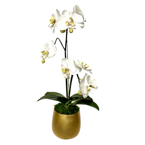 Resin Round Container Small Gold Leaf - Double Orchid Green & White Artificial