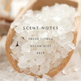 Linnea Diffuser Refill