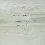 Linnea Reed Diffuser Kit