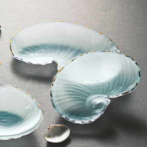 Shells Nautilus Large