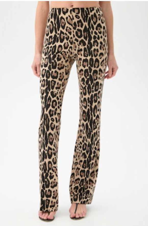 Multi Jacoba Pant