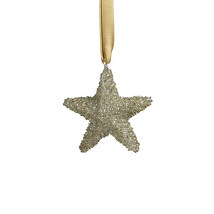 Silver Star Ornament - Glitter