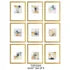 Windsor FRAMED PAINTED ART 16X20" EA SET 9/ 1PK/6.95' 16 x 1.5 x 20