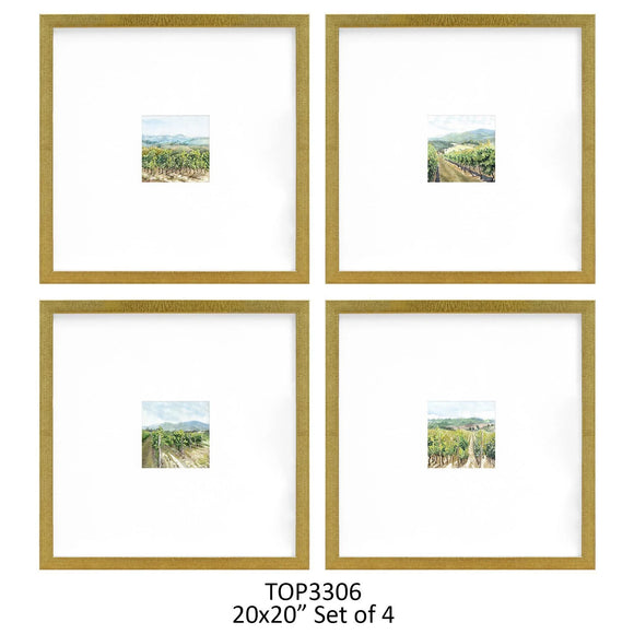 Vineyards 20x20