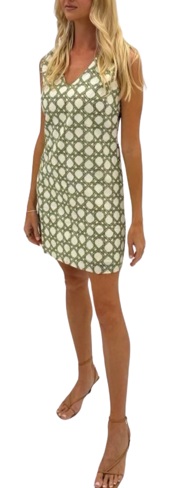 Trellis Kaylor Dress
