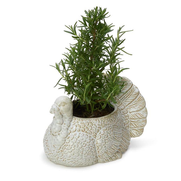 Turkey Cachepot