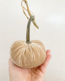4" Velvet Pumpkin