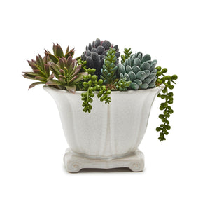 Scroll Cachepot / Planter with Crackle Finish