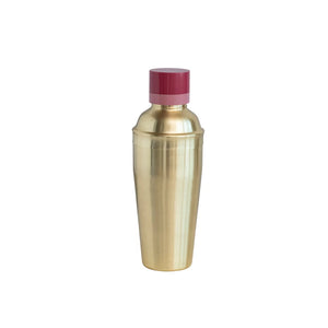 Stainless Steel Cocktail Shaker w/ Resin Top, Brass Finish and Pink